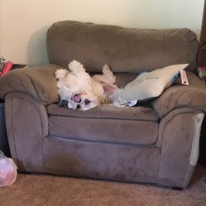 Meet your Posher, Tammy